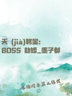 天價(jià)聘金：BOSS來劫婚