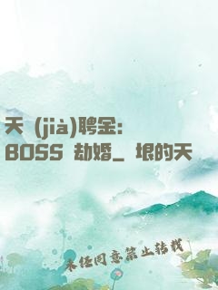 天價(jià)聘金：BOSS來劫婚