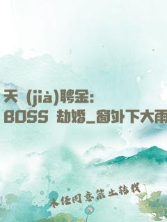 天價(jià)聘金：BOSS來劫婚