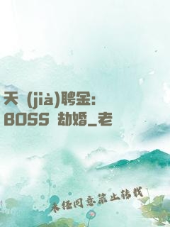 天價(jià)聘金：BOSS來劫婚