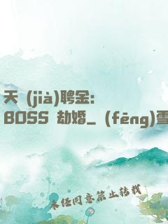 天價(jià)聘金：BOSS來劫婚