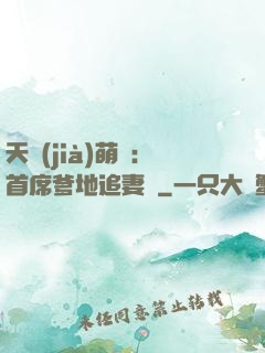 天價(jià)萌寶：首席爹地追妻記