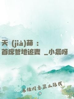 天價(jià)萌寶：首席爹地追妻記