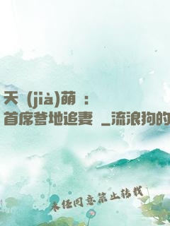 天價(jià)萌寶：首席爹地追妻記