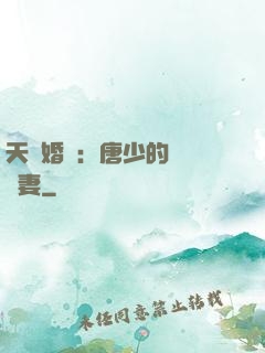 天價婚愛：唐少的終極寵妻