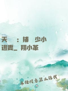 天價懸賞：捕獲顧少小逃妻