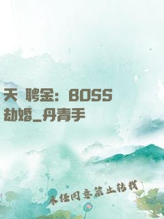 天價聘金：BOSS來劫婚