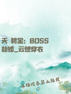 天價聘金：BOSS來劫婚