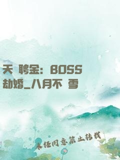 天價聘金：BOSS來劫婚
