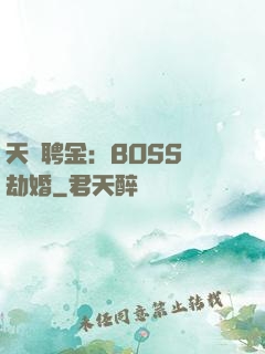 天價聘金：BOSS來劫婚