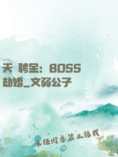 天價聘金：BOSS來劫婚