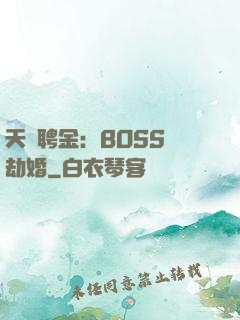 天價聘金：BOSS來劫婚