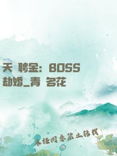 天價聘金：BOSS來劫婚