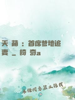 天價萌寶：首席爹地追妻記