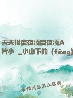 天天摸夜夜添夜夜添A片小說