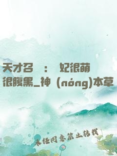 天才召喚師：寵妃很萌很腹黑