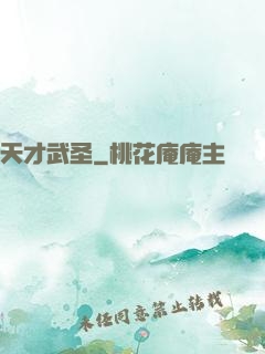 天才武圣