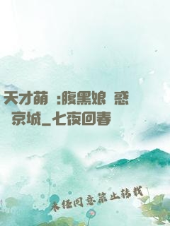 天才萌寶:腹黑娘親惑亂京城