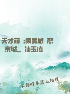 天才萌寶:腹黑娘親惑亂京城