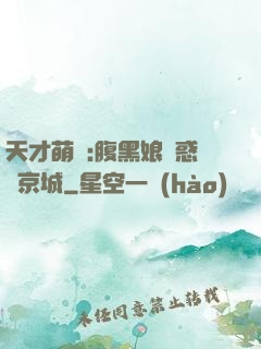 天才萌寶:腹黑娘親惑亂京城