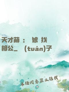 天才萌寶：給娘親找個相公