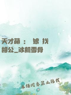天才萌寶：給娘親找個相公