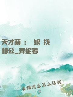 天才萌寶：給娘親找個相公