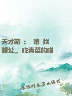 天才萌寶：給娘親找個相公