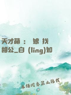 天才萌寶：給娘親找個相公