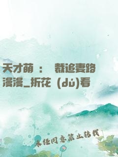 天才萌寶：總裁追妻路漫漫
