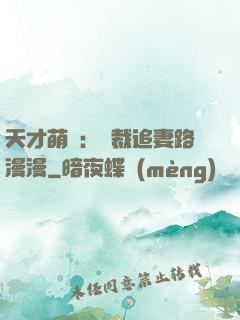 天才萌寶：總裁追妻路漫漫