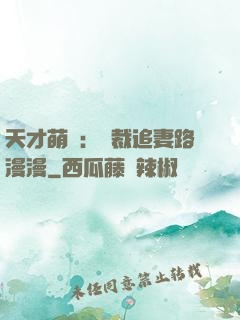 天才萌寶：總裁追妻路漫漫