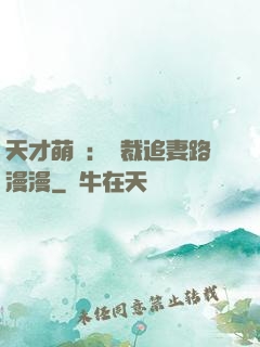天才萌寶：總裁追妻路漫漫