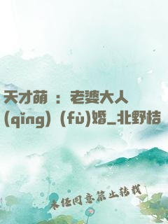 天才萌寶：老婆大人請(qǐng)復(fù)婚