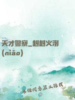 天才警察