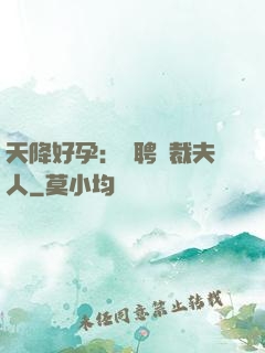 天降好孕：誠聘總裁夫人