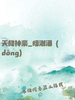 天降神豪