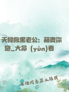 天降腹黑老公：萌妻你別跑