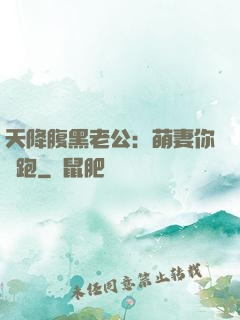 天降腹黑老公：萌妻你別跑