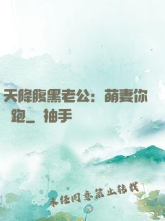 天降腹黑老公：萌妻你別跑