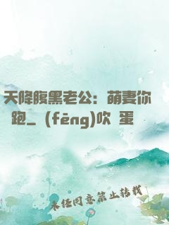 天降腹黑老公：萌妻你別跑
