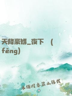 天降豪婿