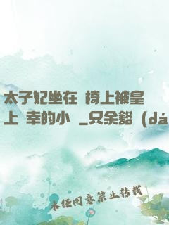 太子妃坐在龍椅上被皇上寵幸的小說