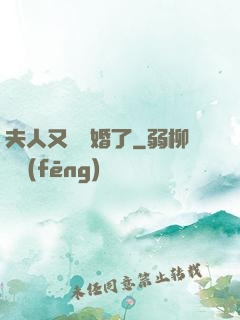 夫人又鬧離婚了