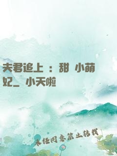 夫君追上門：甜寵小萌妃