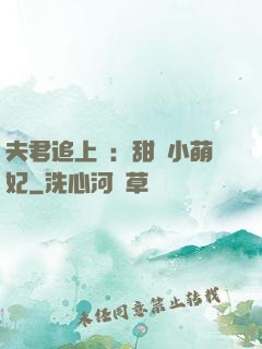 夫君追上門：甜寵小萌妃