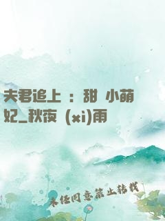 夫君追上門：甜寵小萌妃