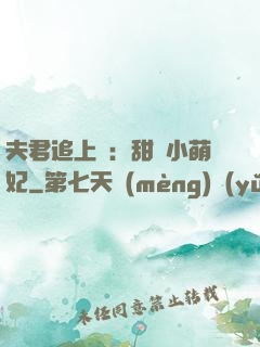 夫君追上門：甜寵小萌妃