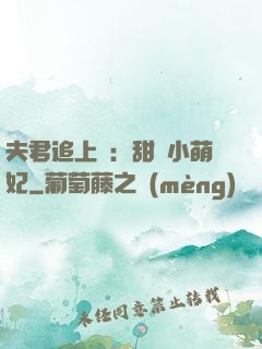 夫君追上門：甜寵小萌妃