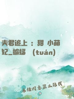 夫君追上門：甜寵小萌妃